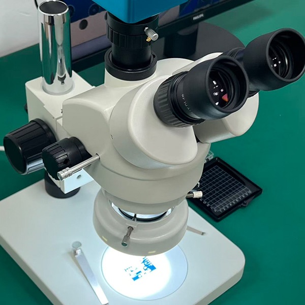 REV-ZK多变倍观察显微镜